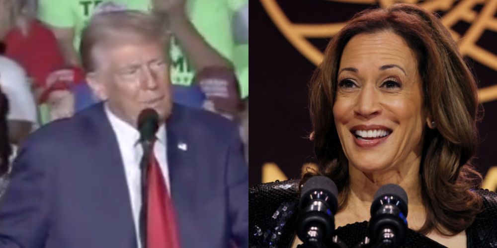 Harris Campaign Calls Out Trump's Half-Full Rally Crowd In Hilarious Video