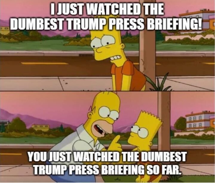 Two-panel meme featuring characters from The Simpsons. In the first panel, Bart Simpson, looking distressed, says, 'I JUST WATCHED THE DUMBEST TRUMP PRESS BRIEFING!' In the second panel, Homer Simpson, pointing at Bart, responds, 'YOU JUST WATCHED THE DUMBEST TRUMP PRESS BRIEFING SO FAR.' The meme humorously suggests that each Trump press briefing is progressively worse.