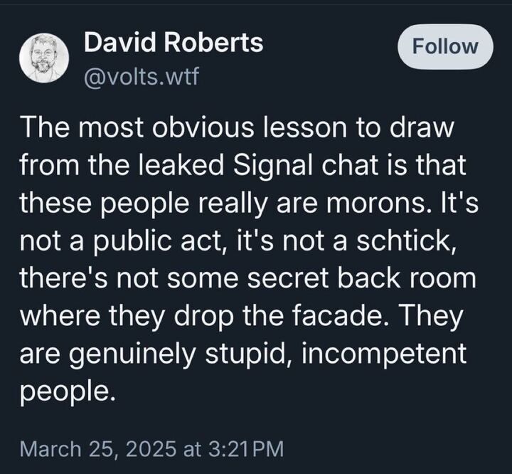 The image is a screenshot of a post on X by a user named David Roberts (@volts
.wtf). The post reads: "The most obvious lesson to draw from the leaked Signal chat is that these people really are morons. It’s not a public act, it’s not a schtick, there’s not some secret back room where they drop the facade. They are genuinely stupid, incompetent people."

