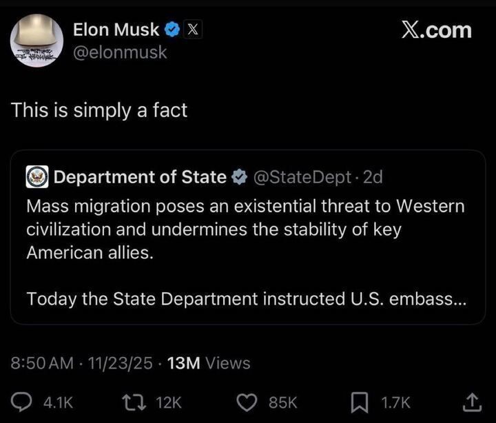 A tweet from “Elon Musk” reads: “This is simply a fact.”
Below is a tweet from “Department of State” claiming mass migration is an existential threat to Western civilization and undermines allied stability.