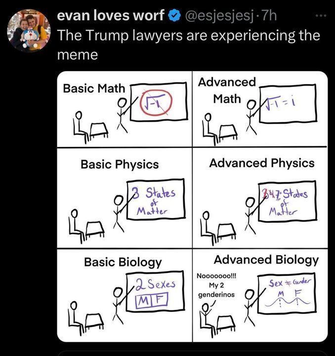 A tweet from "evan loves worf" (
@esjesjesj
) posted 7 hours ago, stating: "The Trump lawyers are experiencing the meme." Below the tweet, there is a four-panel comic:
Top Left (Basic Math): A stick figure teacher points to a board with "√-1" written on it, crossed out in red.
Top Right (Advanced Math): The same stick figure teacher points to a board with the equation "√-1 = i" written on it.
Bottom Left (Basic Physics): The teacher points to a board that says "3 States of Matter."
Bottom Right (Advanced Physics): The teacher points to a board that says "347+ States of Matter."
Bottom Left (Basic Biology): The teacher points to a board that says "2 Sexes M/F."
Bottom Right (Advanced Biology): A student is distressed, saying "Noooooooo!!! My 2 genderinos," while the teacher points to a board that says "Sex ≠ Gender" with male and female symbols separated by a wavy line.