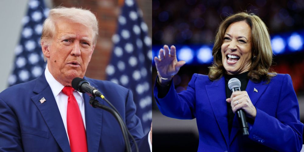 Harris Campaign Trolls Trump With Perfect Two-Word Response To His Bizarre Question About Her DNC Speech