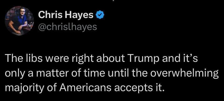 Tweet from user 'Chris Hayes' reads, "The libs were right about Trump and it's only a matter of time until the overwhelming majority of Americans accept it."