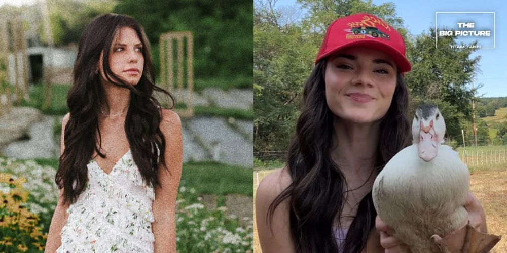 Alt-right women posing as lifestyle content creators are virtual sleeper cells for MAGA sexist politics