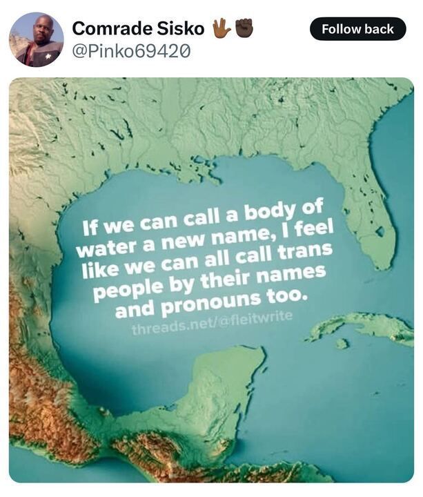 A tweet from Comrade Sisko (
@Pinko69420
) with two raised fist emojis reads: "If we can call a body of water a new name, I feel like we can all call trans people by their names and pronouns too." The tweet includes an image of a map showing the southeastern United States, the Gulf of Mexico, and parts of the Caribbean. Overlaid on the map is the text: "If we can call a body of water a new name, I feel like we can all call trans people by their names and pronouns too." Below this text, there's a URL: threads.net/
@fleiwrite