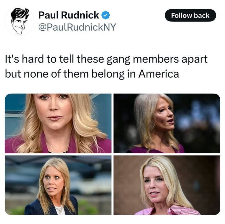 A post from Paul Rudnick (@PaulRudnickNY
) on X reads: "It’s hard to tell these gang members apart but none of them belong in America." Below the text, there is a collage of four images of a blonde woman with similar features, dressed in different outfits: a purple blazer, a purple top, a blue blazer with a white shirt, and a pink and white striped shirt.
