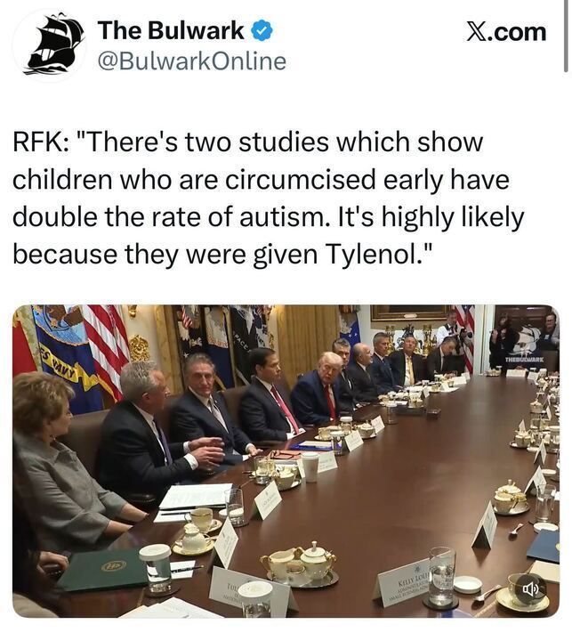 Screenshot of a tweet from The Bulwark. Text reads: “RFK: ‘There's two studies which show children who are circumcised early have double the rate of autism. It's highly likely because they were given Tylenol.’” Below is a photo of a formal meeting at a long table with Donald Trump and several officials.