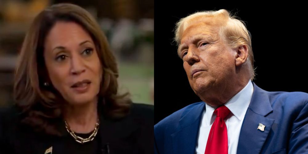 Harris Just Slipped In Another Epically Shady Dig At Trump's Rally Crowd Sizes During Interview