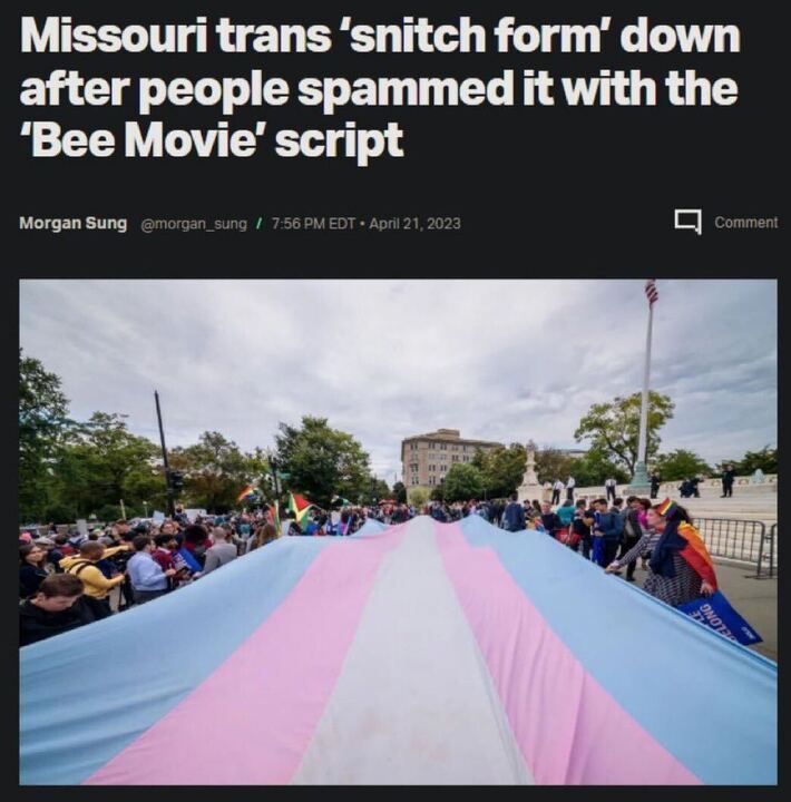 News headline reads: "Missouri trans 'snitch form' down after people spammed it with the 'Bee Movie' script." Below, a photograph shows a large transgender pride flag being held up by a crowd of protesters in an outdoor setting, with various smaller flags and banners visible. A government building and a flagpole are in the background under a cloudy sky.