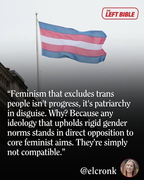  Trans pride flag flying on a pole with a quote overlay advocating for inclusive feminism, stating exclusion of trans people aligns with patriarchy, attributed to @elcronk and shared by The Left Bible.