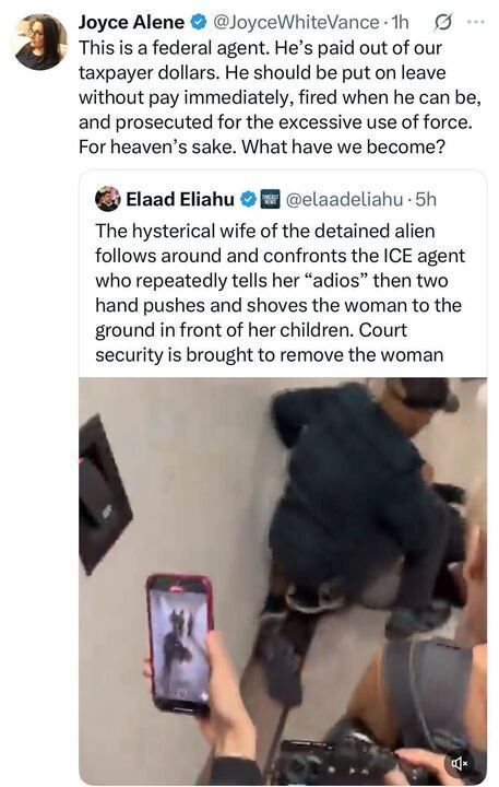 A screenshot of an X post by Joyce Alene (@JoyceWhiteVance) criticizing a federal agent's use of force, paid by taxpayer dollars, with a follow-up post by Elaad Eliahu (@elaadeliahu) describing an incident where an ICE agent's "adios" gesture and push led to a woman being shoved to the ground in front of her children, prompting court security intervention. The image shows a person holding a phone displaying a video, with another person in a security uniform nearby.