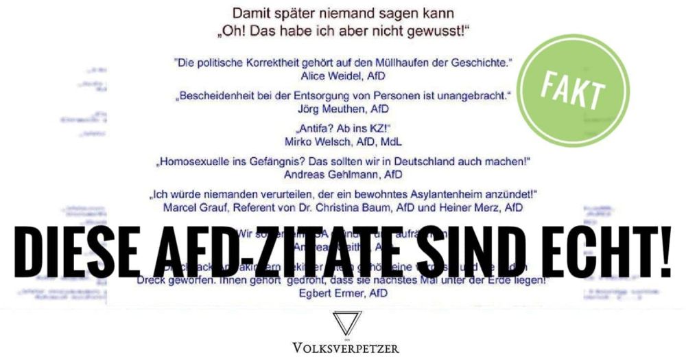 Faktencheck: Die AfD-Zitate auf dieser Grafik sind alle echt!