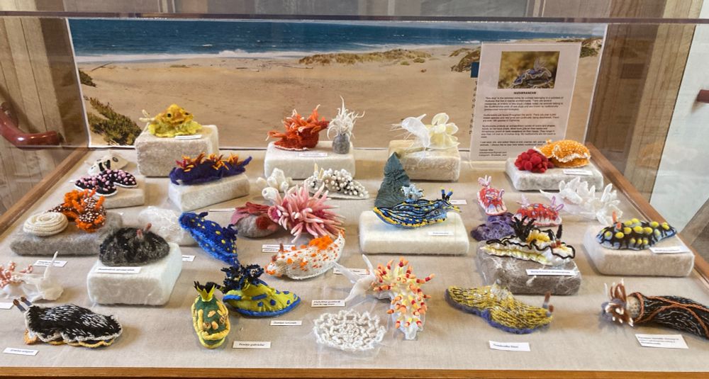 Nudibranch fiber art exhibit in a display case