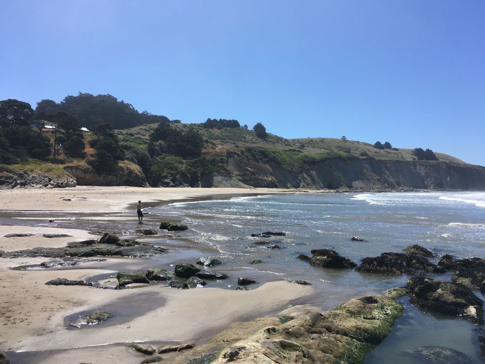 A photo of Schooner Gulch in Mendocino County. A rocky, sandy beach on a clear, sunny day. The beach is backed by green bluffs. A boy stands in the surf holding a boogie board.