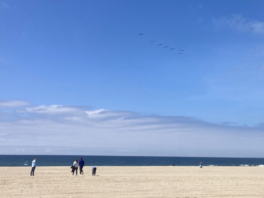 A few people walk on a broad, sandy beach. The deep blue ocean is in front of them, and a wide blue sky with low clouds. A line of pelicans flies high above.