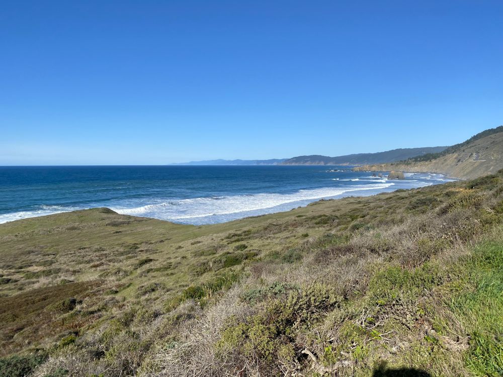 downcoast of Blues Beach, looking north across deep blue water and green coastal scrub to the coastal terrace