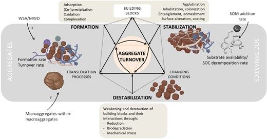 Figure 2 in De Goede et al. (2025): "Conceptual model of the continuum of soil aggregation, with underlying mechanisms within the processes deposition/formation, stabilization, and destabilization related to Fig. 1."