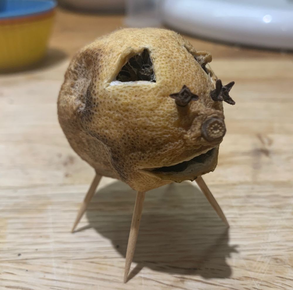 A dessicated lemon made into a pig, with toothpick legs and clove eyes that have seen some shit. It looks nasty. 