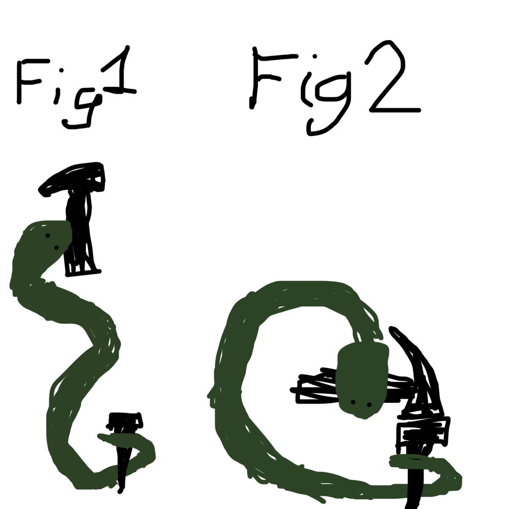 Fig 1. A green snake holds a hammer in its mouth in the classic serpentine pre-strike pose. Its tail is coiled around a nail as it naturally would be. 
Fig 2. Through a “snap to C” motion the snake headbangs the hammer onto the nail to achieve carpentry.