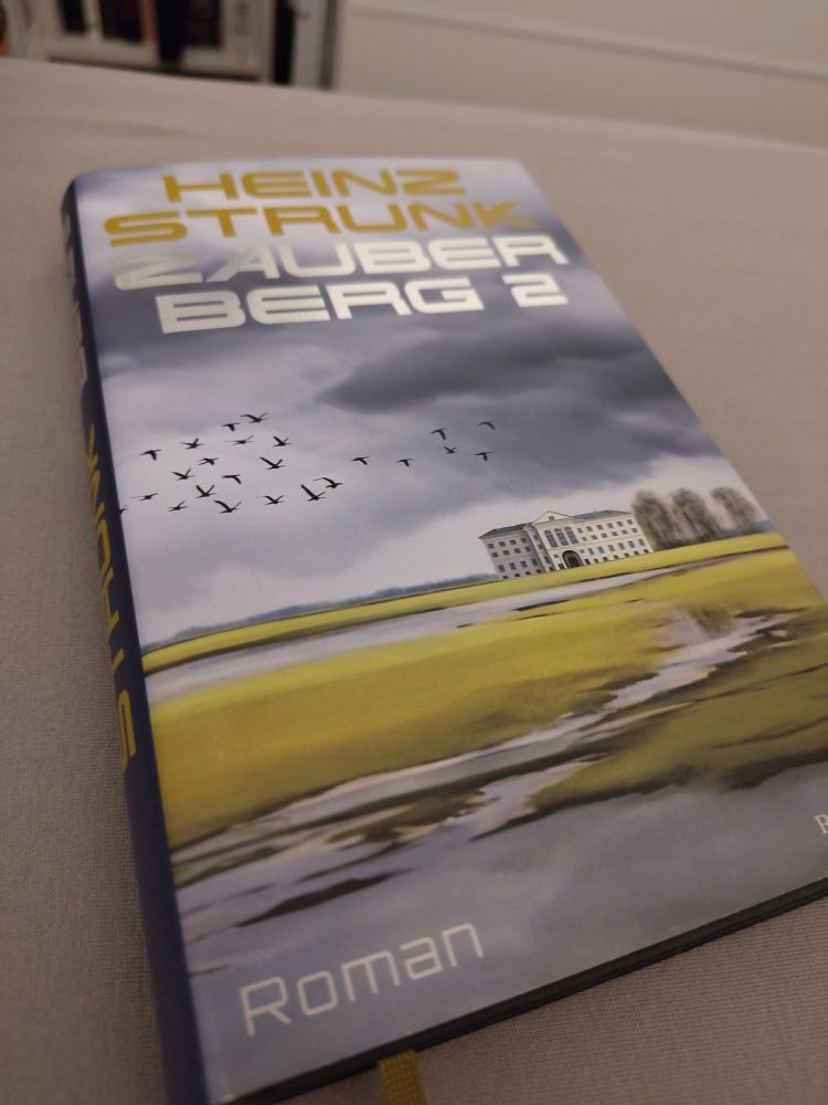 Buch: Heinz Strunk Zauberberg 2