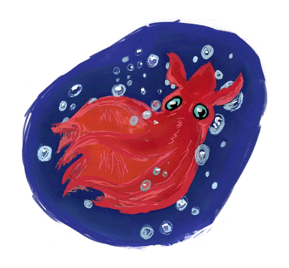 A friendly/cutesy looking Vampire squid looks at us.