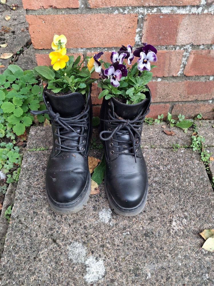 Old pair of black boots now repurposed as plant pots outdoors. Purple and yellow flowers sprout from tops.