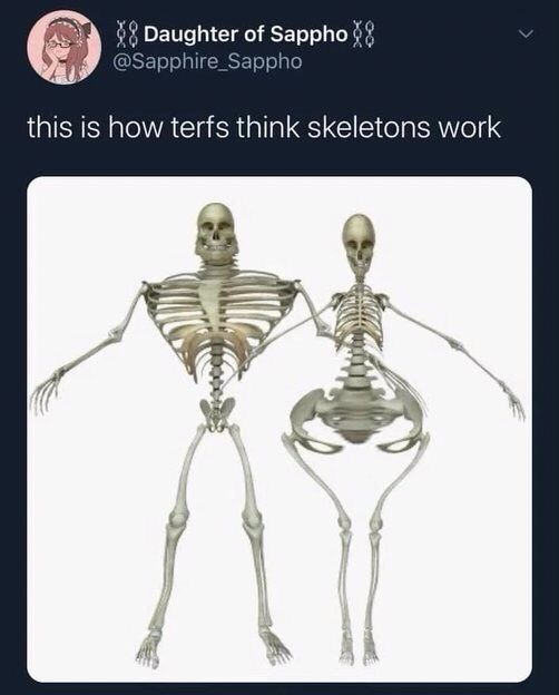 Ein Bild zweier absurd verzerrter Skelette. Eines hat ein winziges Becken, aber einen gigantischen Brustkorb und gewaltige Kieferknochen, sowie riesige Hände. 
Das andere hat ein absurd breites Becken, einen winzigen Brustkorb, einen winzigen, schmalen Schädel und zu kleine Hände und Füße für die Körpergröße. 