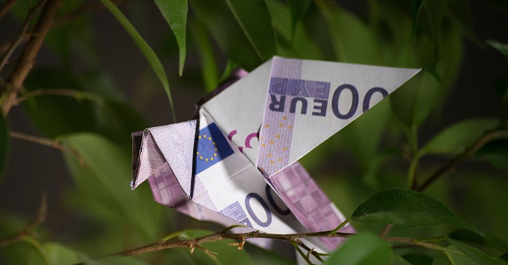 An origami bird folded from a 500-euro banknote sits among green leaves on a branch. | © butenkow / Adobe Stock