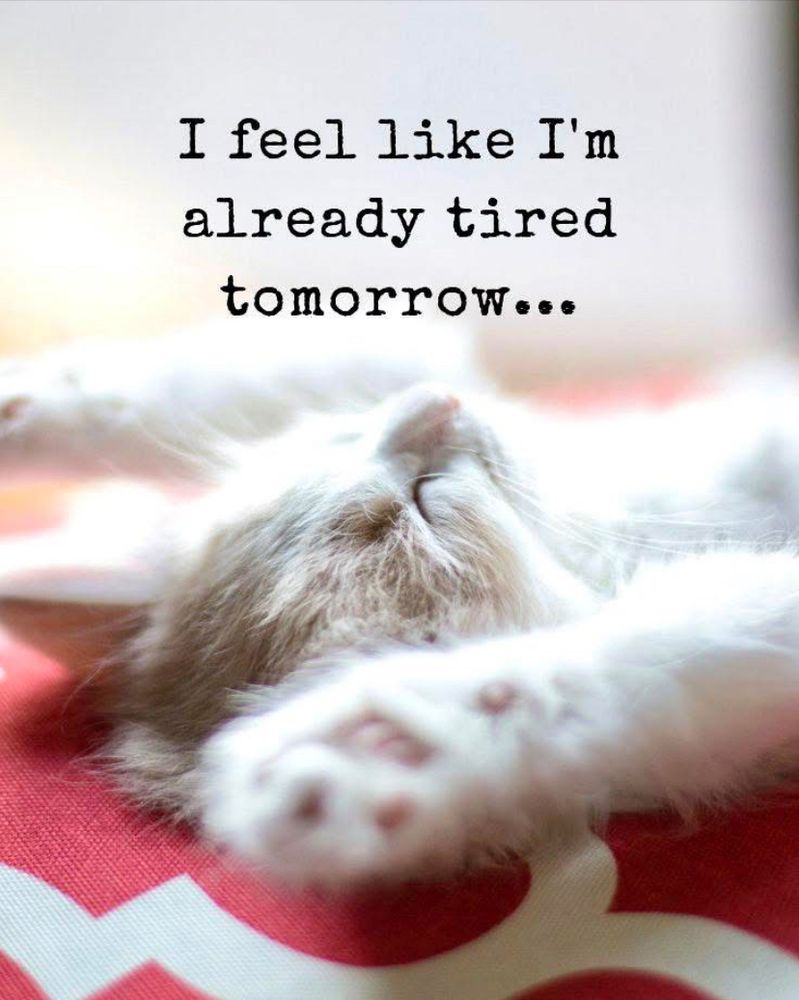 A mostly white cat lies on it’s back with paws over its head and says “I feel like I’m already tired tomorrow. “
