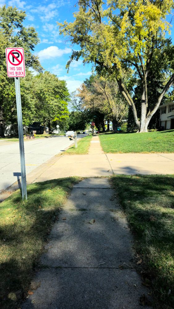 My neighborhood slowly transitioning into fall colors