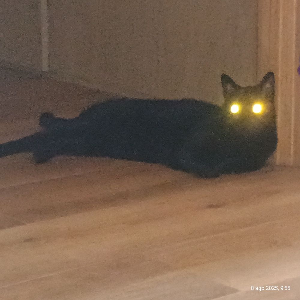 Deabru maltzur, mi gato negro, tumbado. Sus ojos reflejan la luz del flash y parece más diabólico 