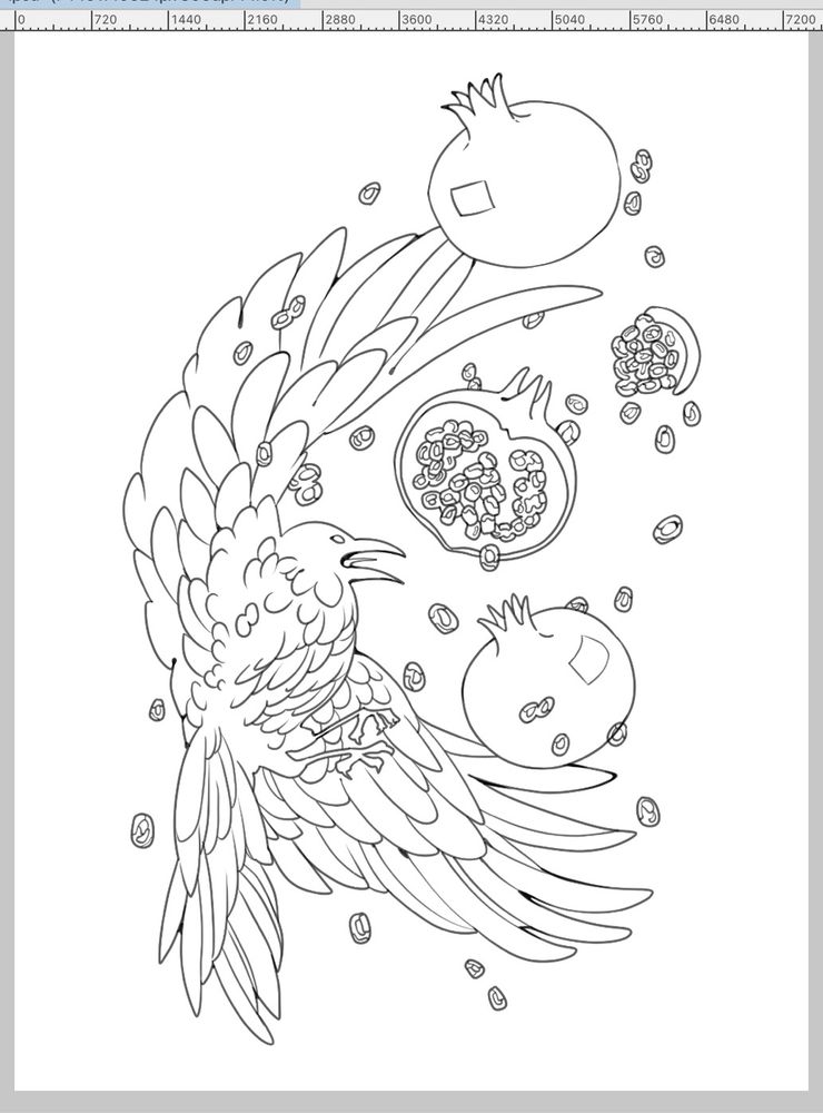A lineart drawing of a crow with three pomegranates.