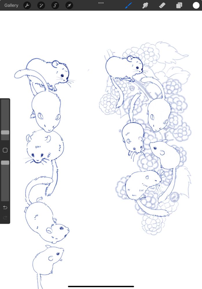 A sketch of dormice and berries