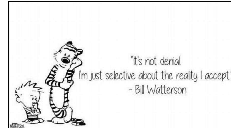 Calvin and Hobbes: it's not denial I'm just selective aboit the reality I accept.
