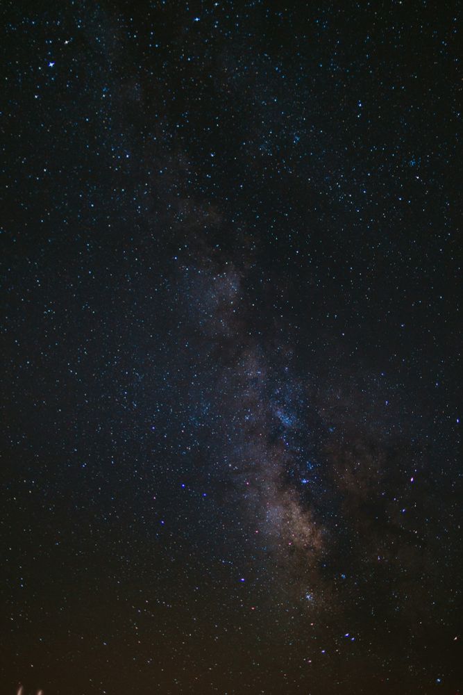 Photo by Ivana Cajina on Unsplash