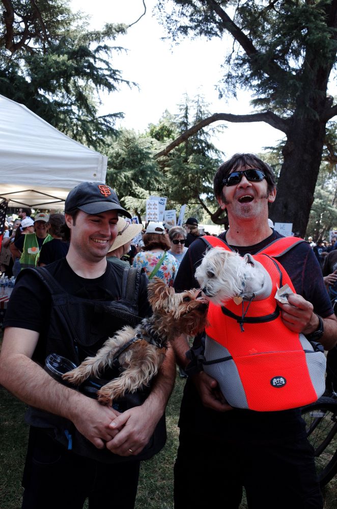 Two men, each holding a small dog in their arms, laugh as their dogs reach in to touch noses.