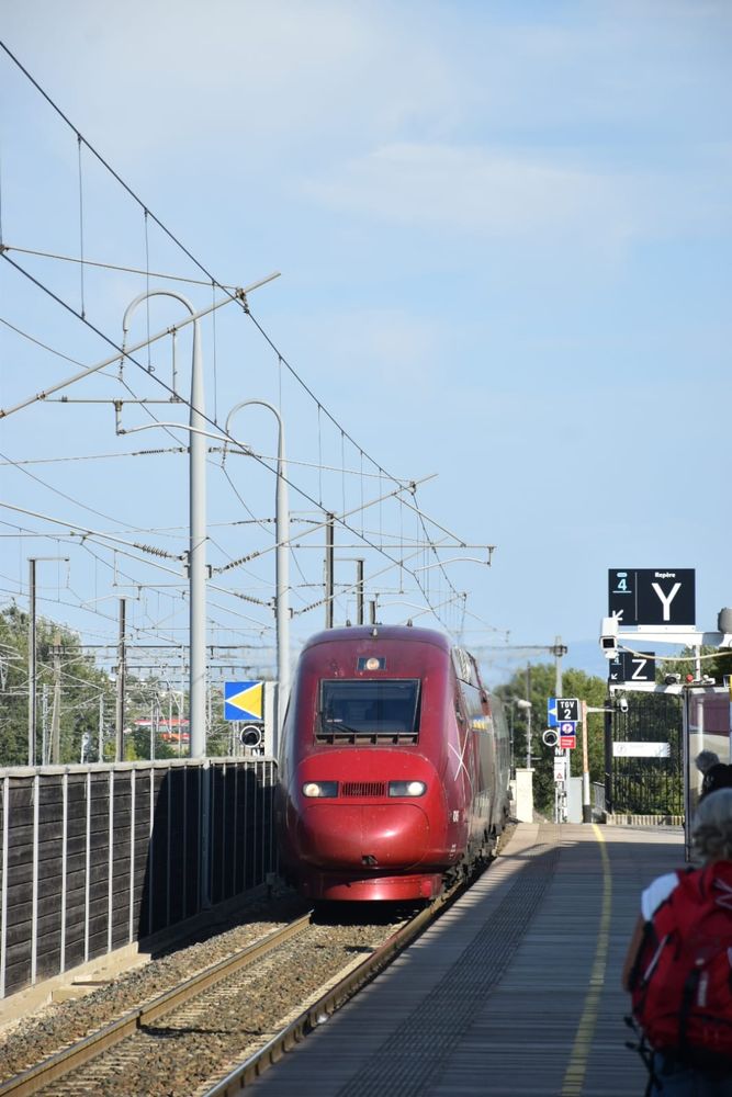 De Zon-Eurostar naar Amsterdam rijdt afgelopen zomer binnen in Avignon TGV