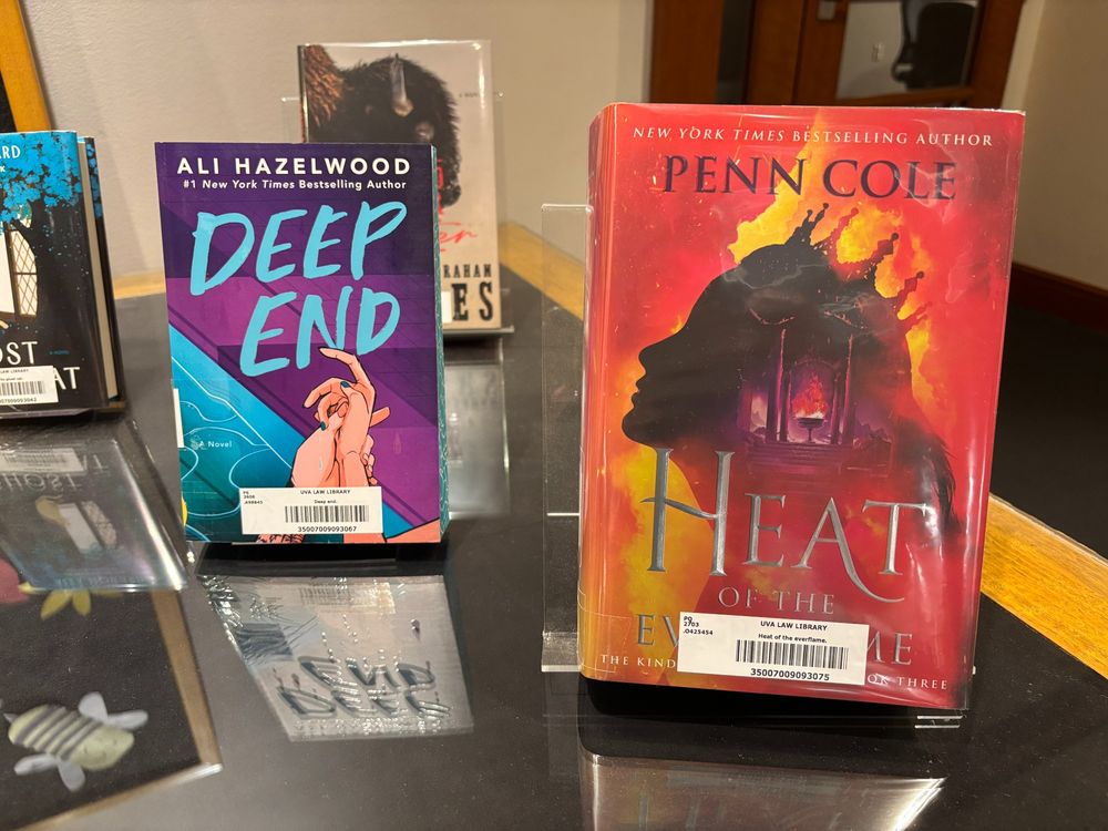 2 books: Deep End by Ali Hazelwood and Heat of the Everflame by Penn Cole.