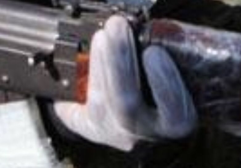 Comment image
