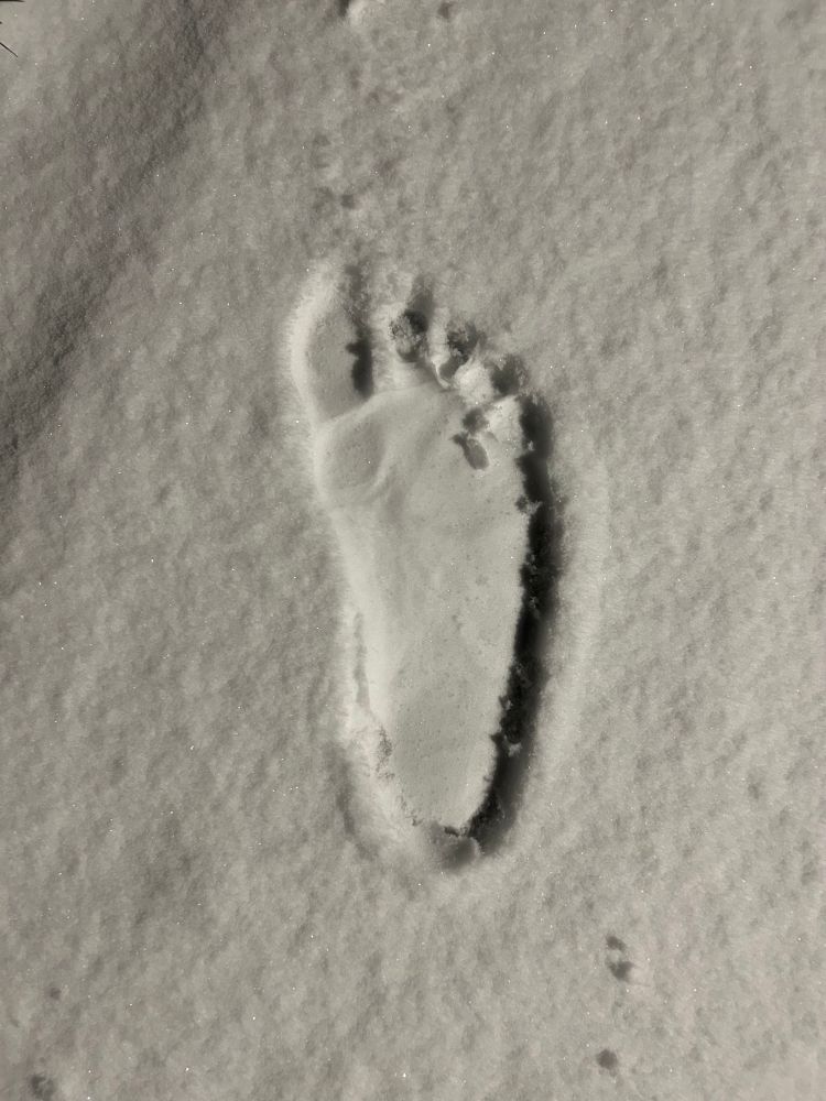 Ein Barfußabdruck eines rechten, menschlichen Fußes im Schnee.