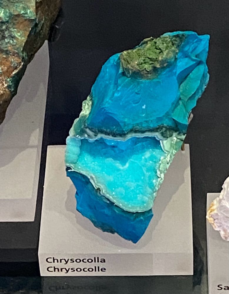Specimen with bright blue massive chrysocolla above and below a cavity with lighter bright blue chrysocolla rounded masses of crystals. A small amount of green matrix can be on top. It sits on a frosted plinth labeled “Chrysocolla/Chrysocolla”on a black shelf. It sits between two other specimens.