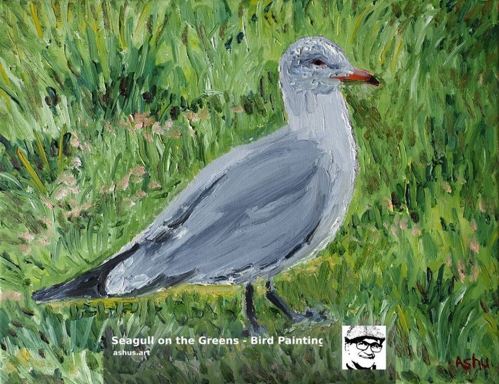 Bird painting of a California Seagull sitting on a green lawn