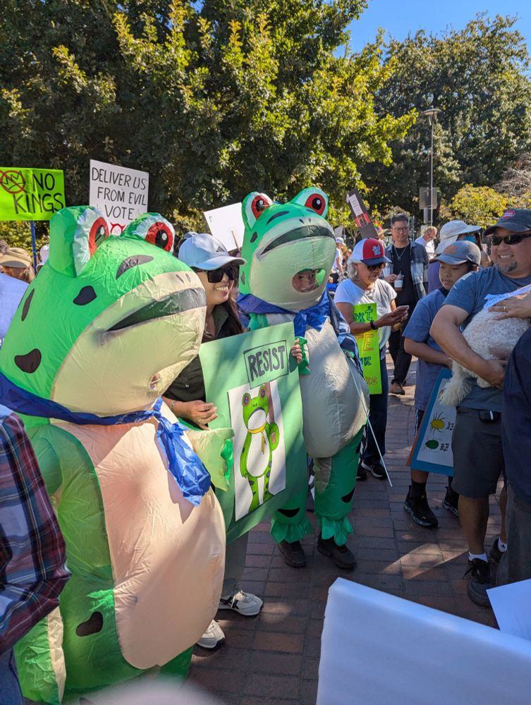 Two people wearing green inflatable frog costumes flank a person carrying a green sign with a picture of a frog at the San Jose, CA No Kings march.
