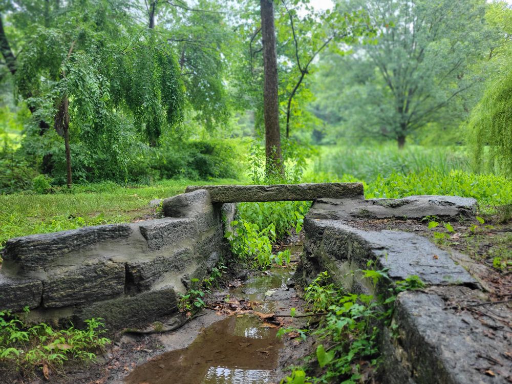 The old stone channel through which a trickle of the Wingohocking runs. 