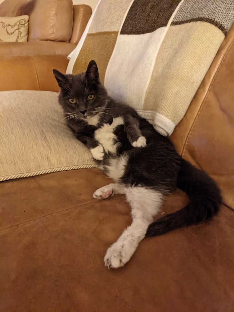 As previous picture from another angle.