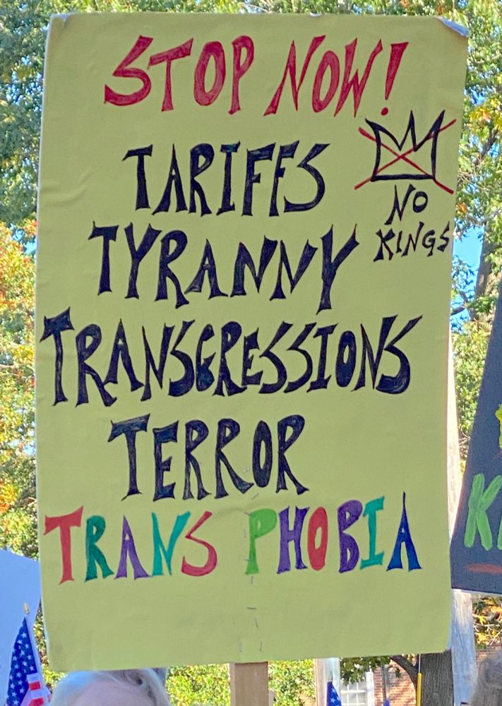 Sign: Stop now! Tariffs Tyranny Transgressions Terror Trans Phobia. No Kings. 