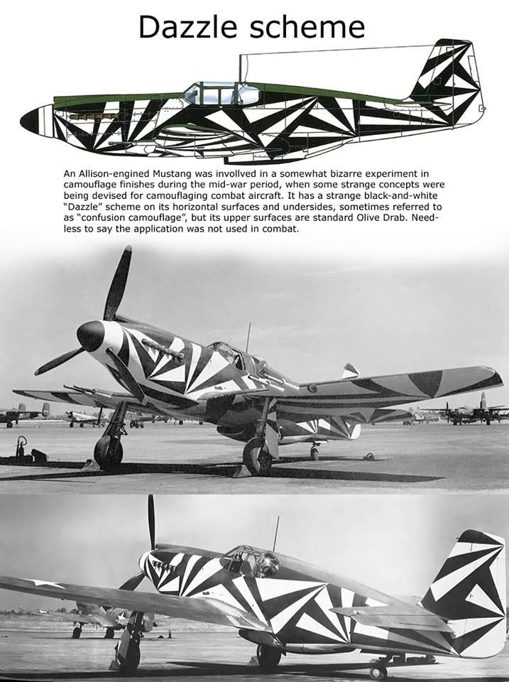 A P-51B of the USAAC painted in black and white dazzle camouflage. 