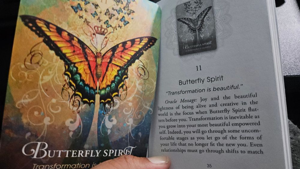 A Colette Baron-Reid divination card that displays a swallowtail butterfly that says "Butterfly Spirit: Transformation is beautiful"

The card meaning reads:
Butterfly Spirit 

"Transformation is beautiful." 

Oracle Mesage: Joy and the beautiful lightness of being alive and creative in the world is the focus when Butterfly Spirit flutters before you. Transformation is inevitable as you grow into your most beautiful empowered self. Indeed, you will go through some uncomfortable stages as you let go of the forms of your life that no longer fit the new you. Even relationships must go through shifts to match your new emerging self If you focus on the beauty and not the challenges; stop taking yourself too seriously; and choose to be playful, loving, and joyous, you will soon know the miracle your soul wants to experience through you. Today is a day for joy, so alight! Look around and see the beauty that is everywhere and in everyone, including you.