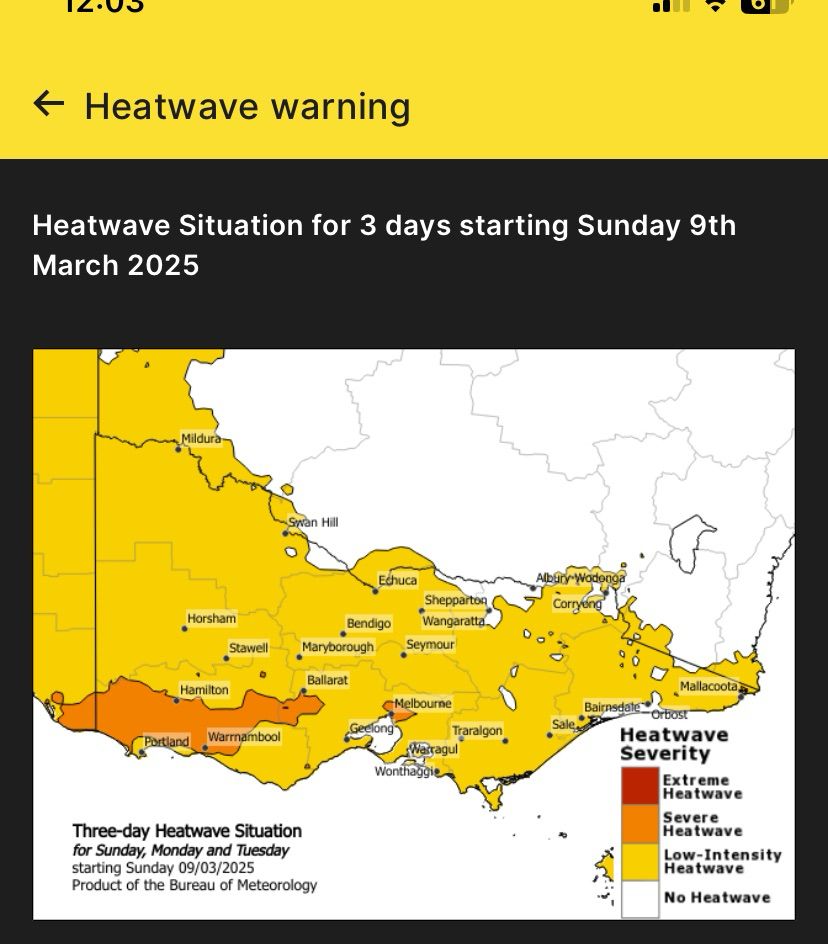 Screenshot of BOM heatwave warning, starting Sunday 8th March 2025.
Includes map of Victoria. Whole state is yellow, in low intensity heatwave. While south west Victoria and central & eastern Melbourne are orange, in a severe heatwave.