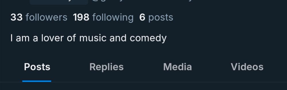 Profile section of a bot Bluesky account displaying follower and following counts, with 33 followers and 198 following. The user has made 6 posts and has a bio that reads, "I am a lover of music and comedy." Below the bio, there are navigation tabs labeled "Posts," "Replies," "Media," and "Videos," with "Posts" currently selected.